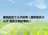 康熙的各個兒子封號（康熙有多少兒子 有多少有封號的）
