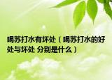喝蘇打水有壞處（喝蘇打水的好處與壞處 分別是什么）