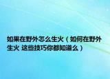 如果在野外怎么生火（如何在野外生火 這些技巧你都知道么）