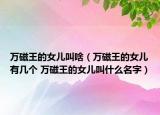 萬磁王的女兒叫啥（萬磁王的女兒有幾個(gè) 萬磁王的女兒叫什么名字）