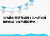 三七粉對肝臟有益嗎（三七粉對肝臟的危害 它的作用是什么）
