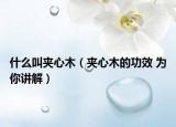 什么叫夾心木（夾心木的功效 為你講解）