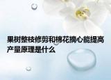 果樹整枝修剪和棉花摘心能提高產(chǎn)量原理是什么