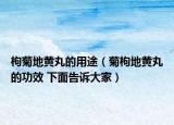 枸菊地黃丸的用途（菊枸地黃丸的功效 下面告訴大家）