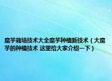 魔芋栽培技術(shù)大全魔芋種植新技術(shù)（大魔芋的種植技術(shù) 這里給大家介紹一下）