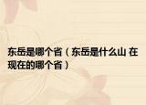 東岳是哪個(gè)?。|岳是什么山 在現(xiàn)在的哪個(gè)?。? /></span></a>
                        <h2><a href=