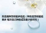 絲瓜栽種怎樣能多結瓜（種絲瓜怎樣能結果多 每次自己種的瓜總是少的可憐）