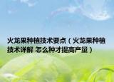 火龍果種植技術(shù)要點（火龍果種植技術(shù)詳解 怎么種才提高產(chǎn)量）