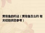黃骨魚(yú)的釣法（黃骨魚(yú)怎么釣 有關(guān)經(jīng)驗(yàn)供您參考）