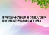 計算機(jī)新手必學(xué)基礎(chǔ)知識（電腦入門基本知識 計算機(jī)的世界永遠(yuǎn)充滿了挑戰(zhàn)）