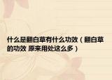 什么是翻白草有什么功效（翻白草的功效 原來用處這么多）