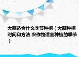 大蒜適合什么季節(jié)種植（大蒜種植時(shí)間和方法 農(nóng)作物適宜種植的季節(jié)）