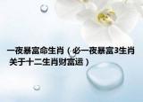 一夜暴富命生肖（必一夜暴富3生肖 關(guān)于十二生肖財富運）