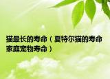 貓最長的壽命（夏特爾貓的壽命 家庭寵物壽命）
