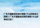 廣東天福集團(tuán)總部在哪里 什么時(shí)候成立的呢（廣東天福集團(tuán)總部在哪里 什么時(shí)候成立的）