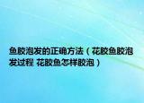 魚膠泡發(fā)的正確方法（花膠魚膠泡發(fā)過程 花膠魚怎樣膠泡）