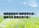 海筍是植物嗎?海筍營養(yǎng)價(jià)值（海筍功效 營養(yǎng)價(jià)值介紹）