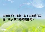 白菜苗多久澆水一次（白菜苗幾天澆一次水 農(nóng)作物知識(shí)補(bǔ)充）