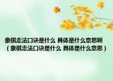 象棋走法口訣是什么 具體是什么意思啊（象棋走法口訣是什么 具體是什么意思）