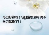 馬口好釣嗎（馬口魚怎么釣 再不學(xué)習(xí)就晚了!）