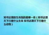 知書(shū)達(dá)理的生肖指的是哪一肖（知書(shū)達(dá)理天下行是什么生肖 知書(shū)達(dá)理天下行是什么動(dòng)物）