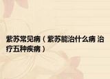 紫蘇常見?。ㄗ咸K能治什么病 治療五種疾?。? /></span></a>
                        <h2><a href=