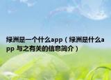 綠洲是一個什么app（綠洲是什么app 與之有關的信息簡介）