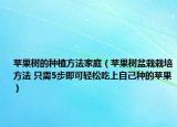 蘋(píng)果樹(shù)的種植方法家庭（蘋(píng)果樹(shù)盆栽栽培方法 只需5步即可輕松吃上自己種的蘋(píng)果）