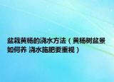 盆栽黃楊的澆水方法（黃楊樹盆景如何養(yǎng) 澆水施肥要重視）