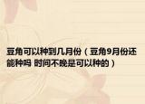 豆角可以種到幾月份（豆角9月份還能種嗎 時間不晚是可以種的）