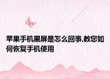 蘋果手機(jī)黑屏是怎么回事,教您如何恢復(fù)手機(jī)使用