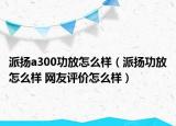 派揚a300功放怎么樣（派揚功放怎么樣 網(wǎng)友評價怎么樣）