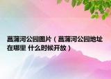 菖蒲河公園圖片（菖蒲河公園地址在哪里 什么時(shí)候開(kāi)放）