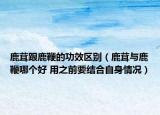 鹿茸跟鹿鞭的功效區(qū)別（鹿茸與鹿鞭哪個好 用之前要結合自身情況）