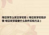 綠豆芽怎么發(fā)豆芽實(shí)驗(yàn)（綠豆發(fā)芽實(shí)驗(yàn)步驟 綠豆發(fā)芽需要什么條件實(shí)驗(yàn)方法）
