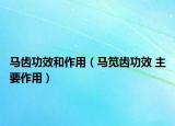 馬齒功效和作用（馬筧齒功效 主要作用）
