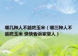 哪幾種人不能吃玉米（哪三種人不能吃玉米 快快告訴家里人）