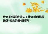 什么時(shí)候適合梳頭（什么時(shí)間梳頭最好 梳頭的最佳時(shí)間）