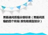 胃腸道間質(zhì)瘤分級標(biāo)準(zhǔn)（胃腸間質(zhì)瘤的四個(gè)階段 按危險(xiǎn)級別劃分）