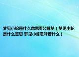 夢(mèng)見小蛇是什么意思周公解夢(mèng)（夢(mèng)見小蛇是什么意思 夢(mèng)見小蛇意味著什么）