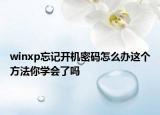 winxp忘記開機密碼怎么辦這個方法你學(xué)會了嗎