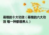 葛根的十大功效（葛根的六大功效 每一種都很養(yǎng)人）