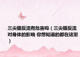 三尖瓣反流有危害嗎（三尖瓣反流對身體的影響 你想知道的都在這里）