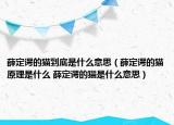 薛定諤的貓到底是什么意思（薛定諤的貓?jiān)硎鞘裁?薛定諤的貓是什么意思）