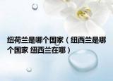 紐荷蘭是哪個(gè)國(guó)家（紐西蘭是哪個(gè)國(guó)家 紐西蘭在哪）