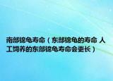 南部錦龜壽命（東部錦龜?shù)膲勖?人工飼養(yǎng)的東部錦龜壽命會(huì)更長）