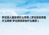 夢(mèng)見(jiàn)別人割韭菜什么意思（夢(mèng)見(jiàn)擇韭菜是什么意思 夢(mèng)見(jiàn)擇韭菜有什么寓意）