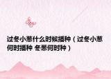 過冬小蔥什么時候播種（過冬小蔥何時播種 冬蔥何時種）
