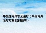牛慢性胃炎怎么治療（牛真胃炎治療方案 如何預(yù)防）