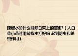 辣椒水加什么能除白菜上的害蟲?（大白菜小苗時用辣椒水打好嗎 起到防蟲和殺蟲作用）
